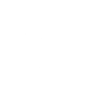 icono-2